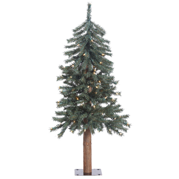 rustic alpine trees