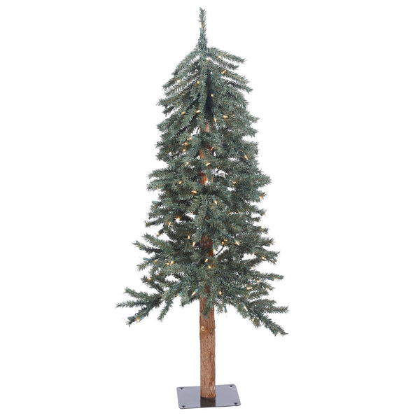 rustic alpine trees