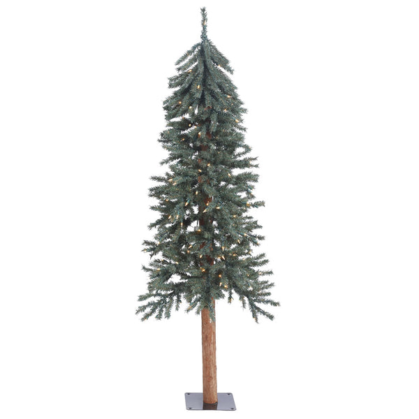 rustic alpine trees