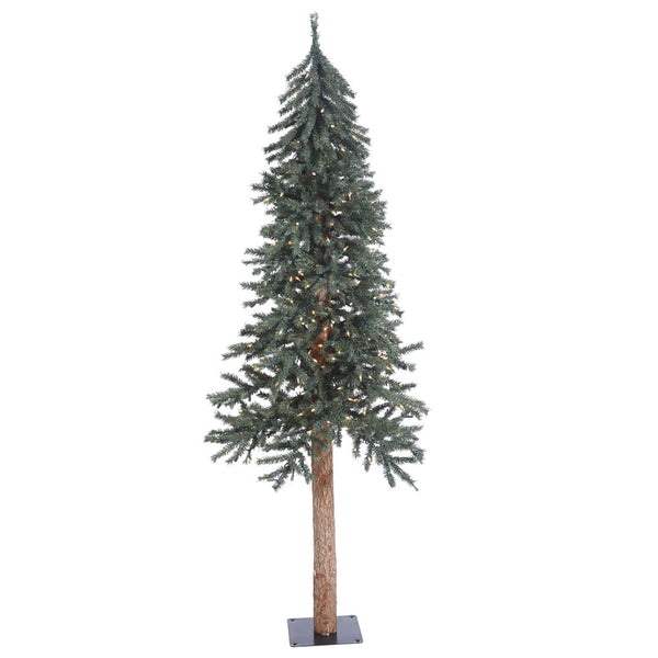 rustic alpine trees