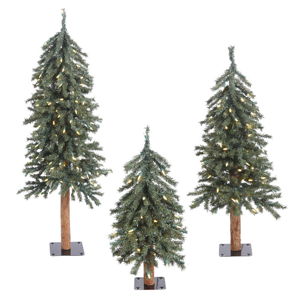rustic alpine trees