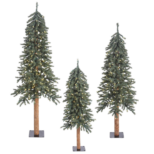 rustic alpine trees